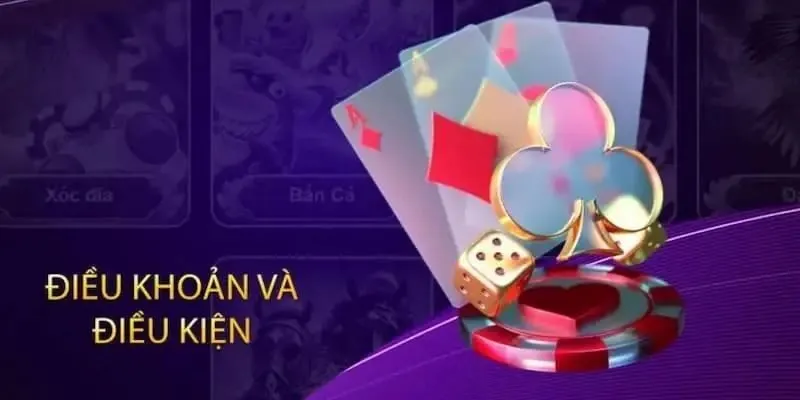Điều khoản và điều kiện là hoạt động gì?